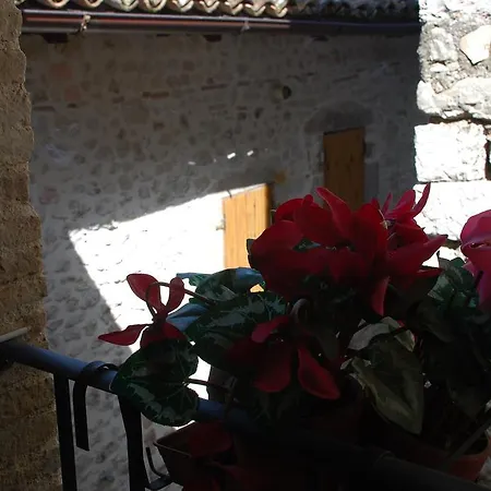 Il Paradiso Nel Borgo